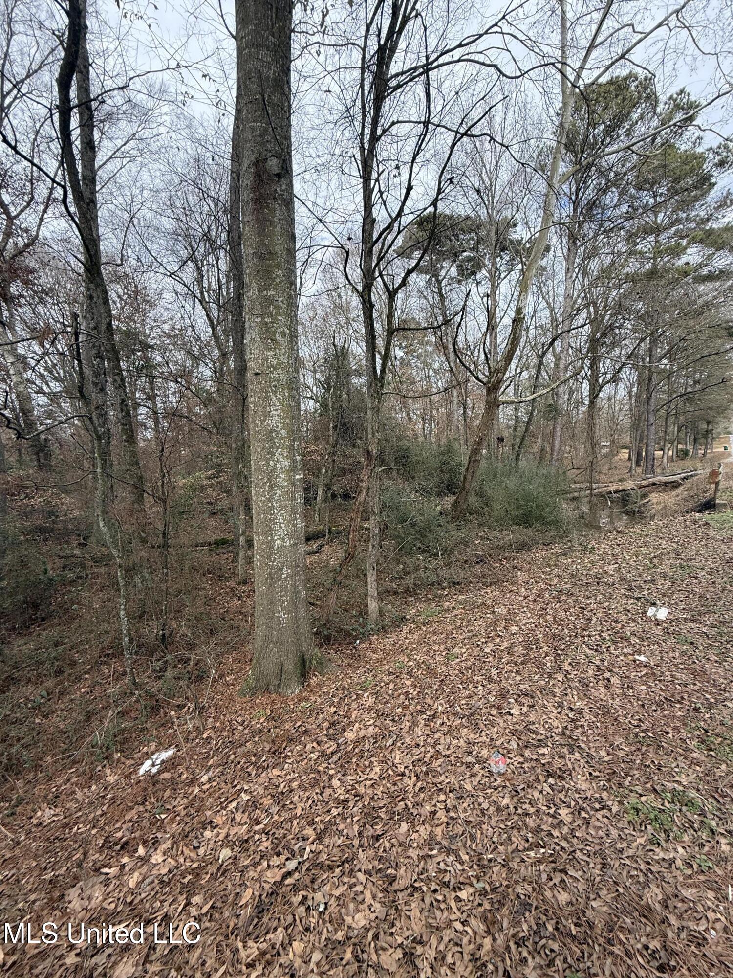 1 North Jordan Street Carthage, MS 39051 - Photo 5 of 10 IMG_1735