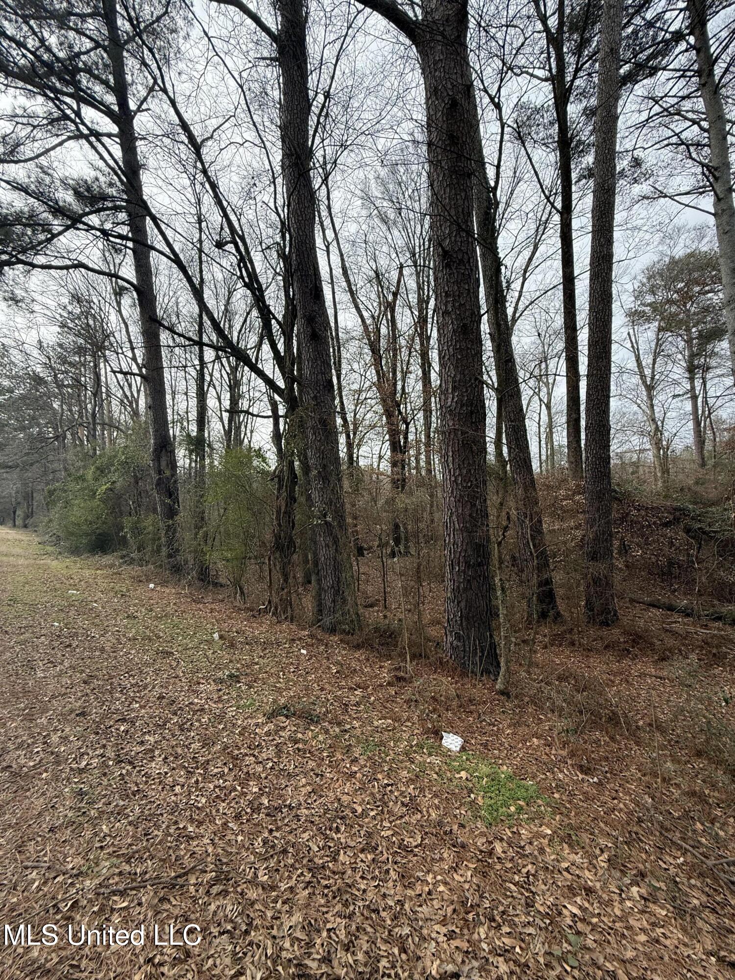 1 North Jordan Street Carthage, MS 39051 - Photo 6 of 10 IMG_1734