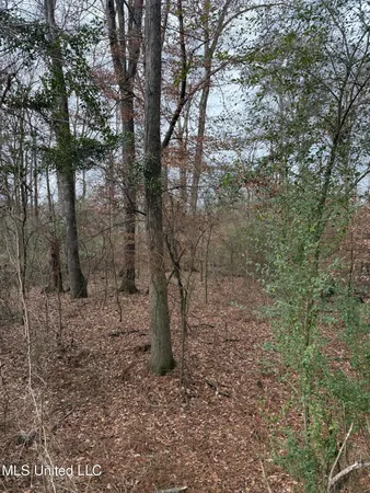 $18,000 | 1 North Jordan Street, Carthage, MS 39051