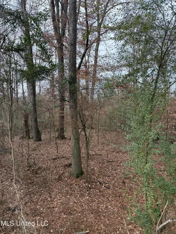 $18,000 | 1 North Jordan Street, Carthage, MS 39051