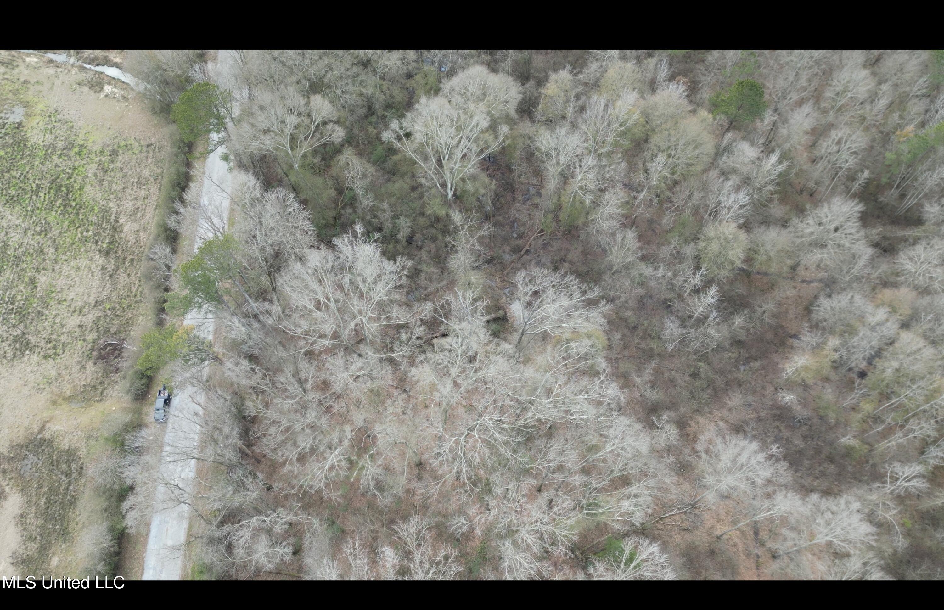 1 North Jordan Street Carthage, MS 39051 - Photo 8 of 10 Image 4