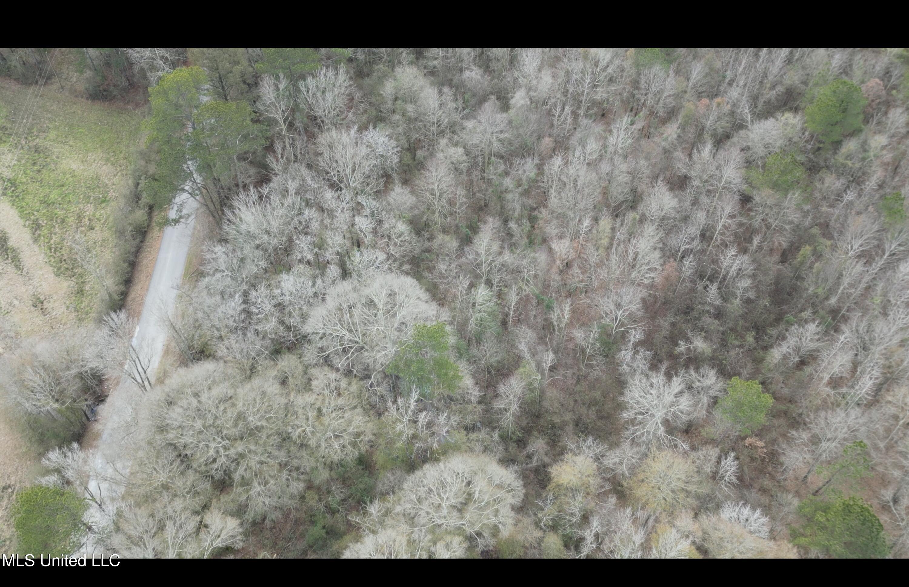 1 North Jordan Street Carthage, MS 39051 - Photo 9 of 10 Image 5