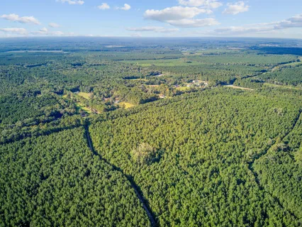 $599,000 | Tbd Summers Drive, Ridgeville, SC 29472