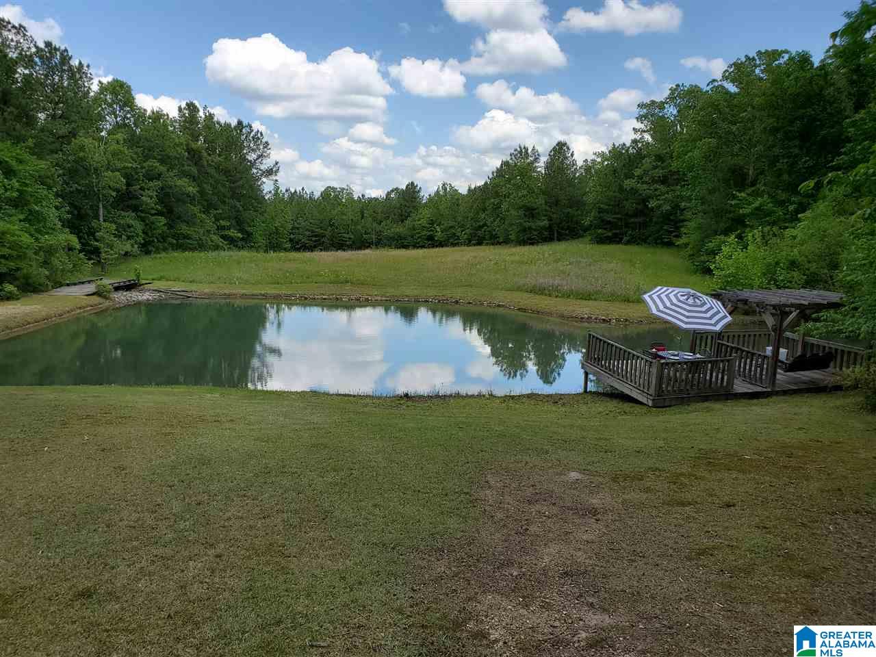 715 Lovejoy Road Ashville, AL 35953 - Photo 18 of 22