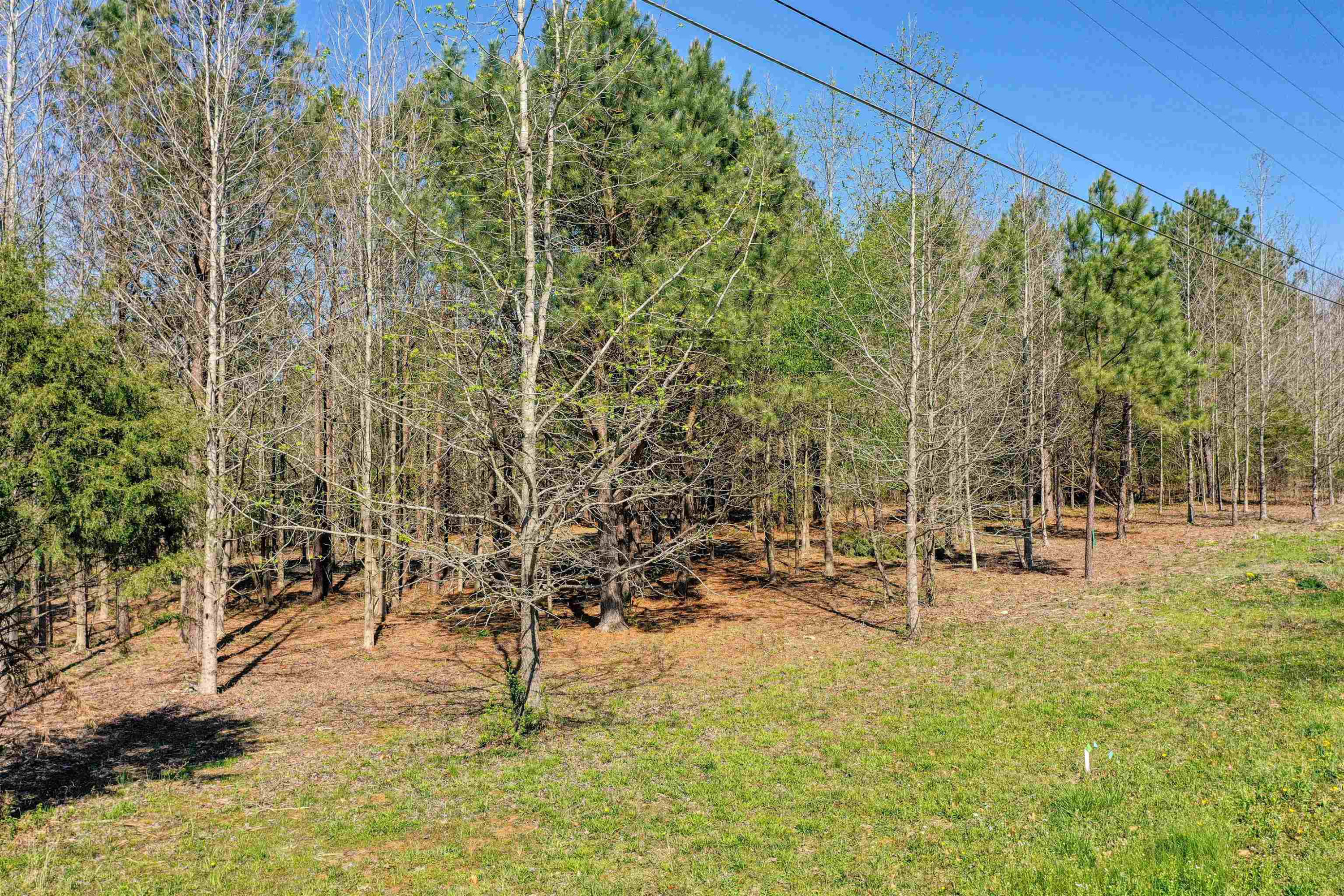 Lot 6 Lodge Road Camden, TN 38320 - Photo 11 of 16 Photo 11