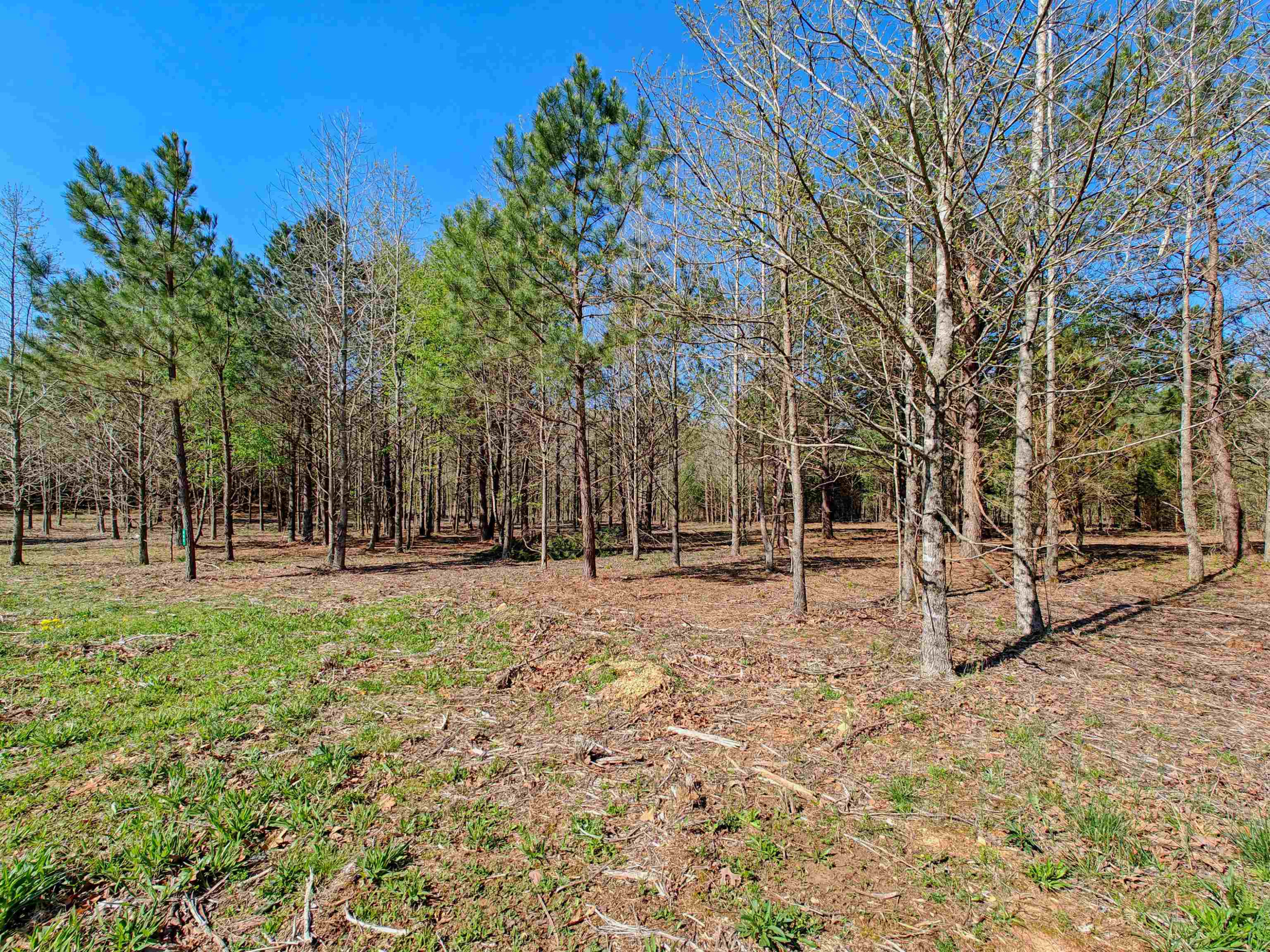 Lot 6 Lodge Road Camden, TN 38320 - Photo 12 of 16 Photo 12