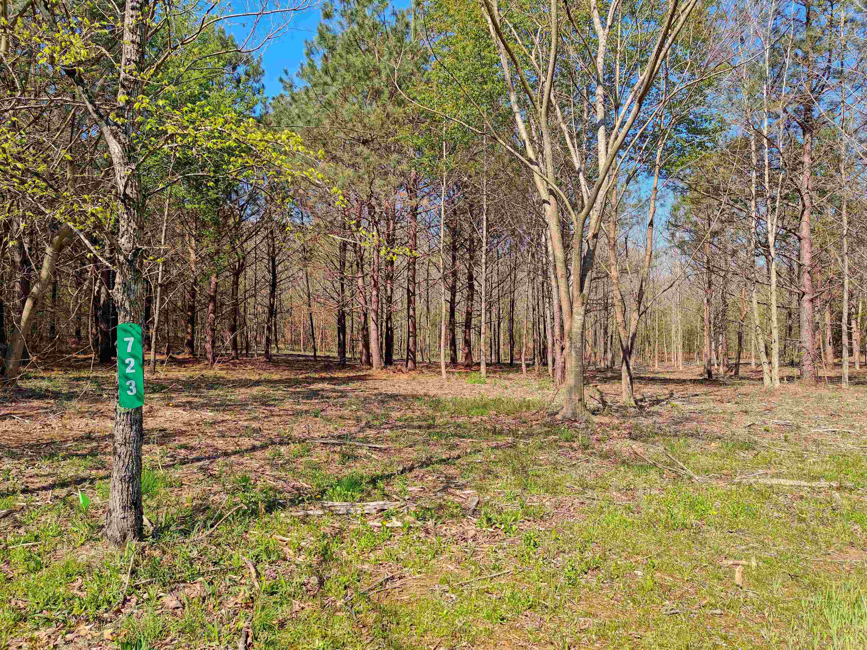 Lot 6 Lodge Road Camden, TN 38320 - Photo 14 of 16 Photo 14