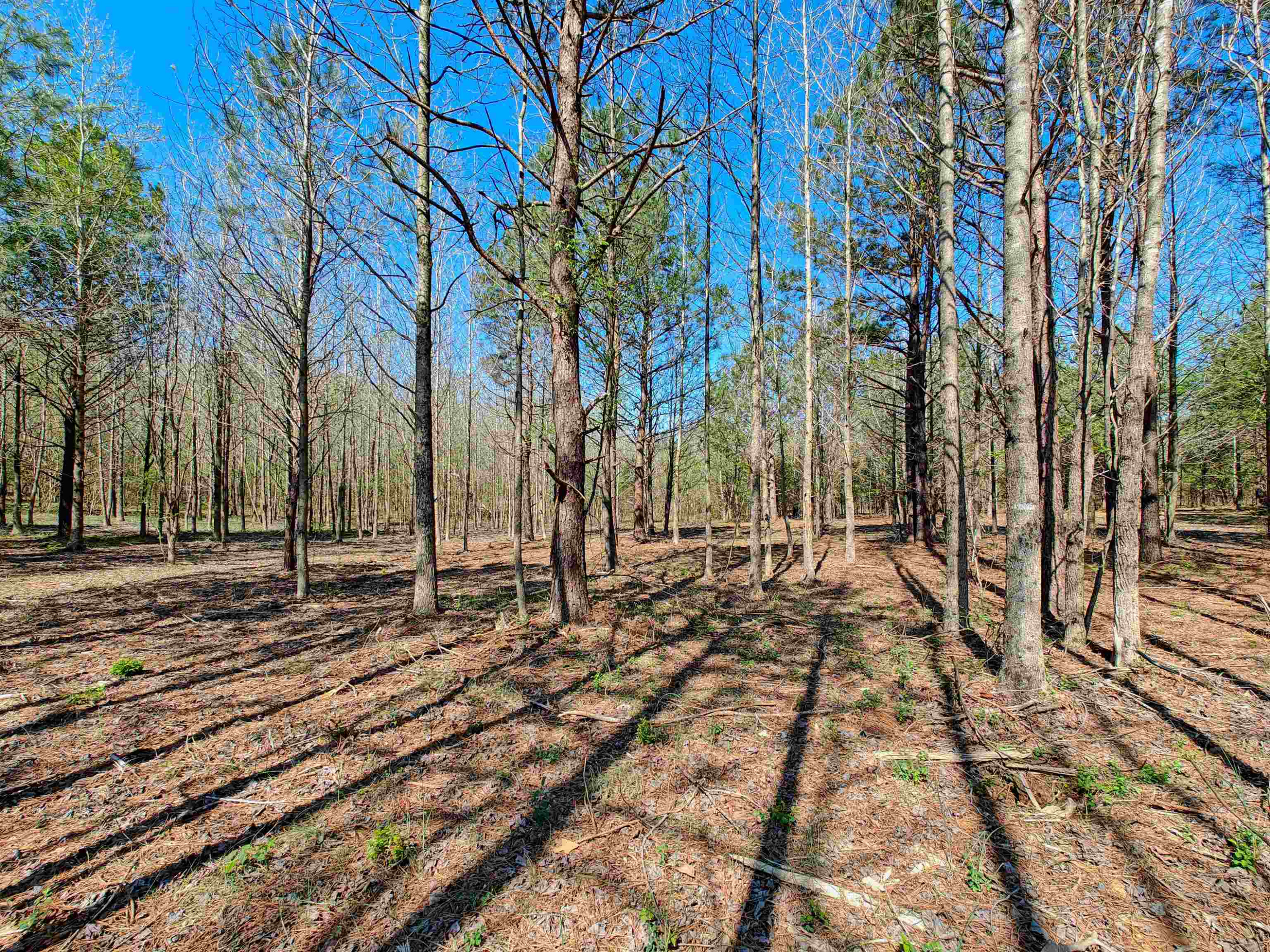 Lot 6 Lodge Road Camden, TN 38320 - Photo 15 of 16 Photo 15
