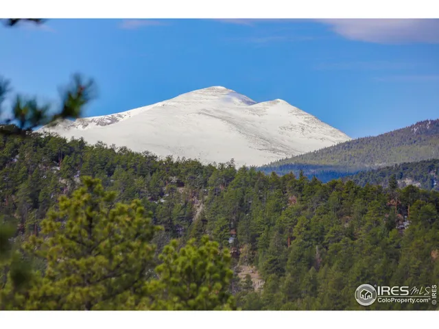 a view of a dry yard
