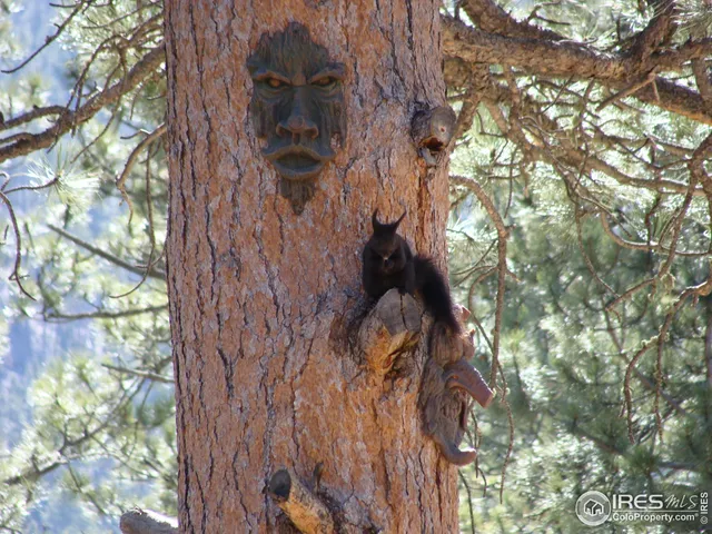 $417,000 | 147 Cedar Drive, Lyons, CO 80540