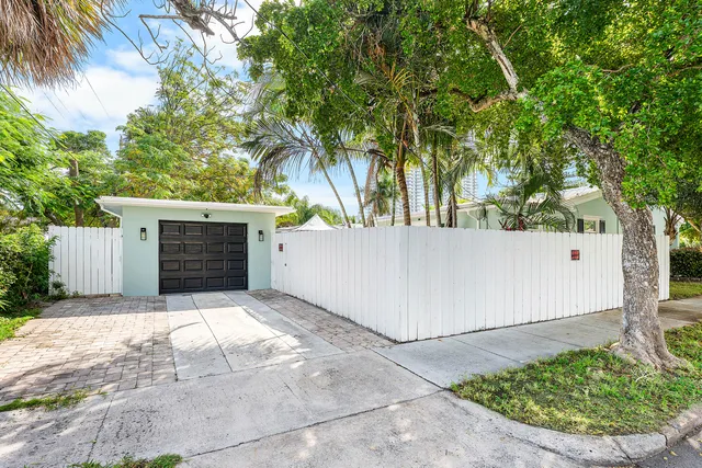 a view of backyard with plants and a tree