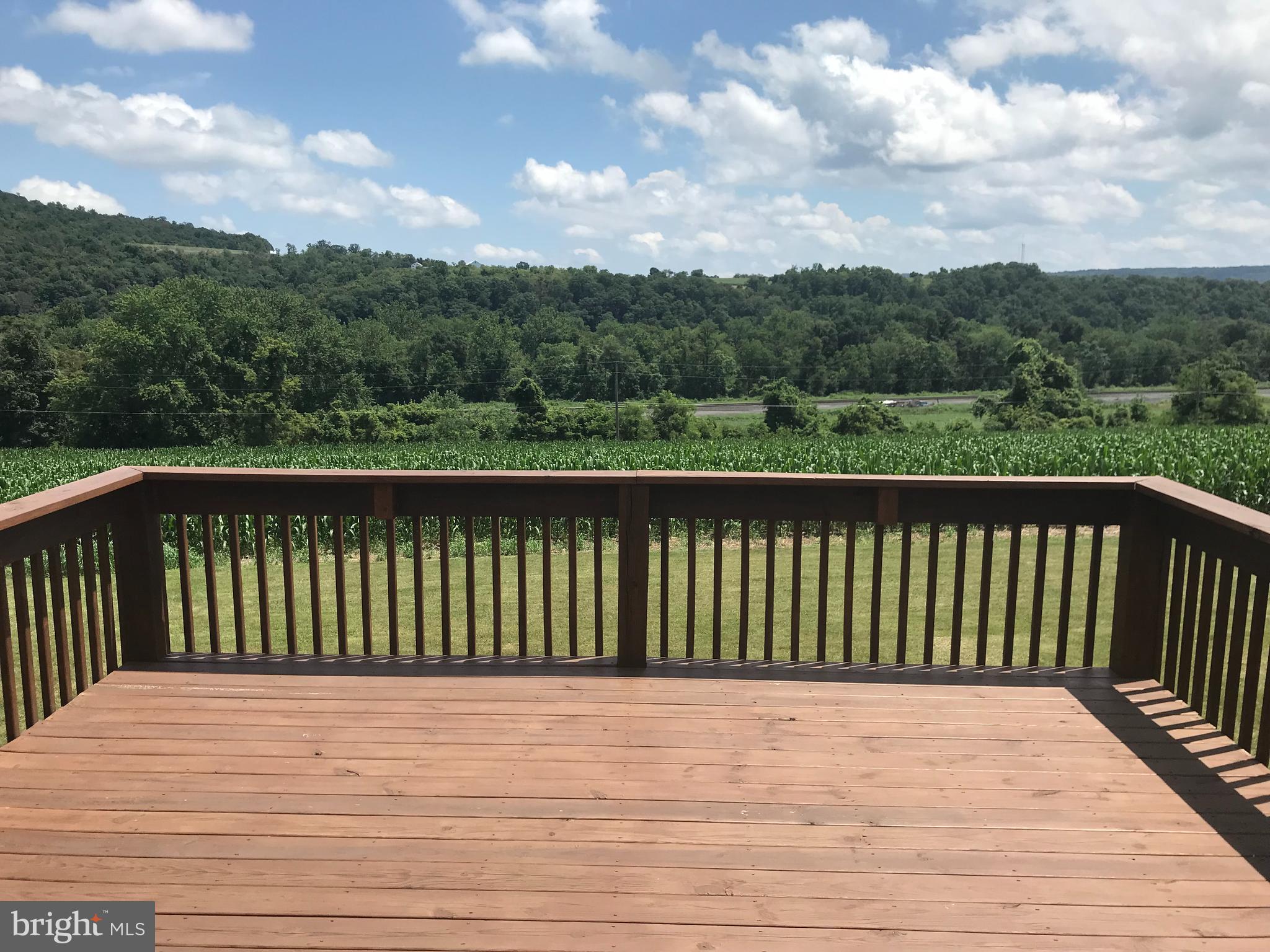 250 Turkey Bird Road Newport, PA 17074 - Photo 19 of 22 View from the deck looking east