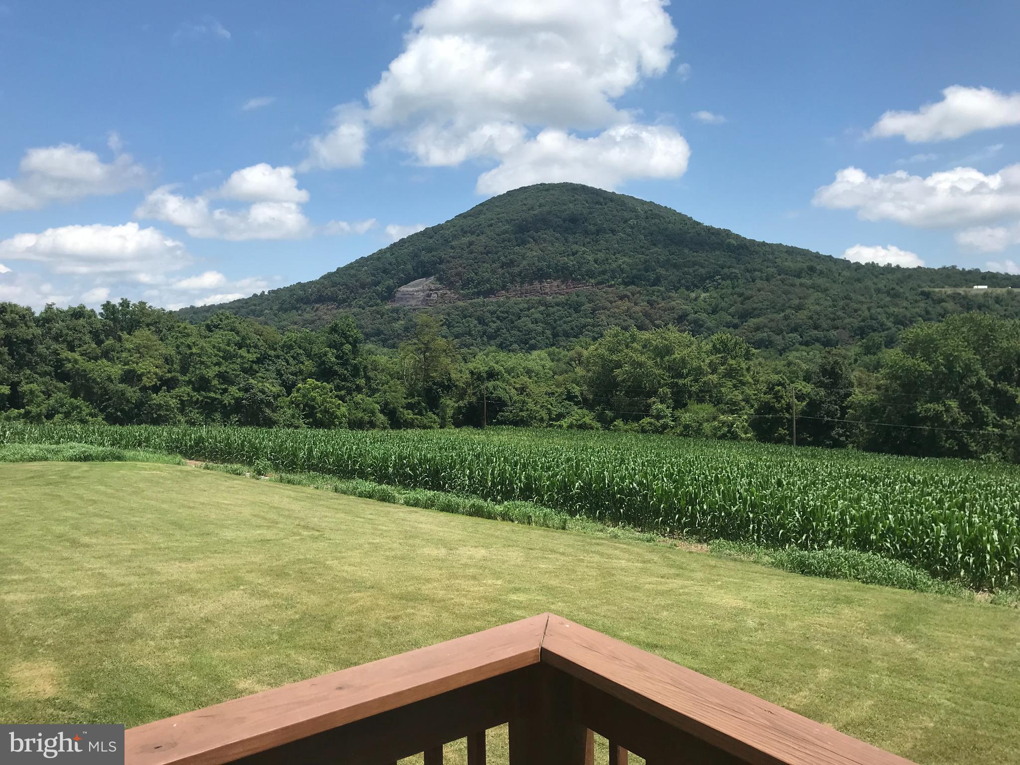 250 Turkey Bird Road Newport, PA 17074 - Photo 3 of 22 Scene of Buffalo Mountain from the deck