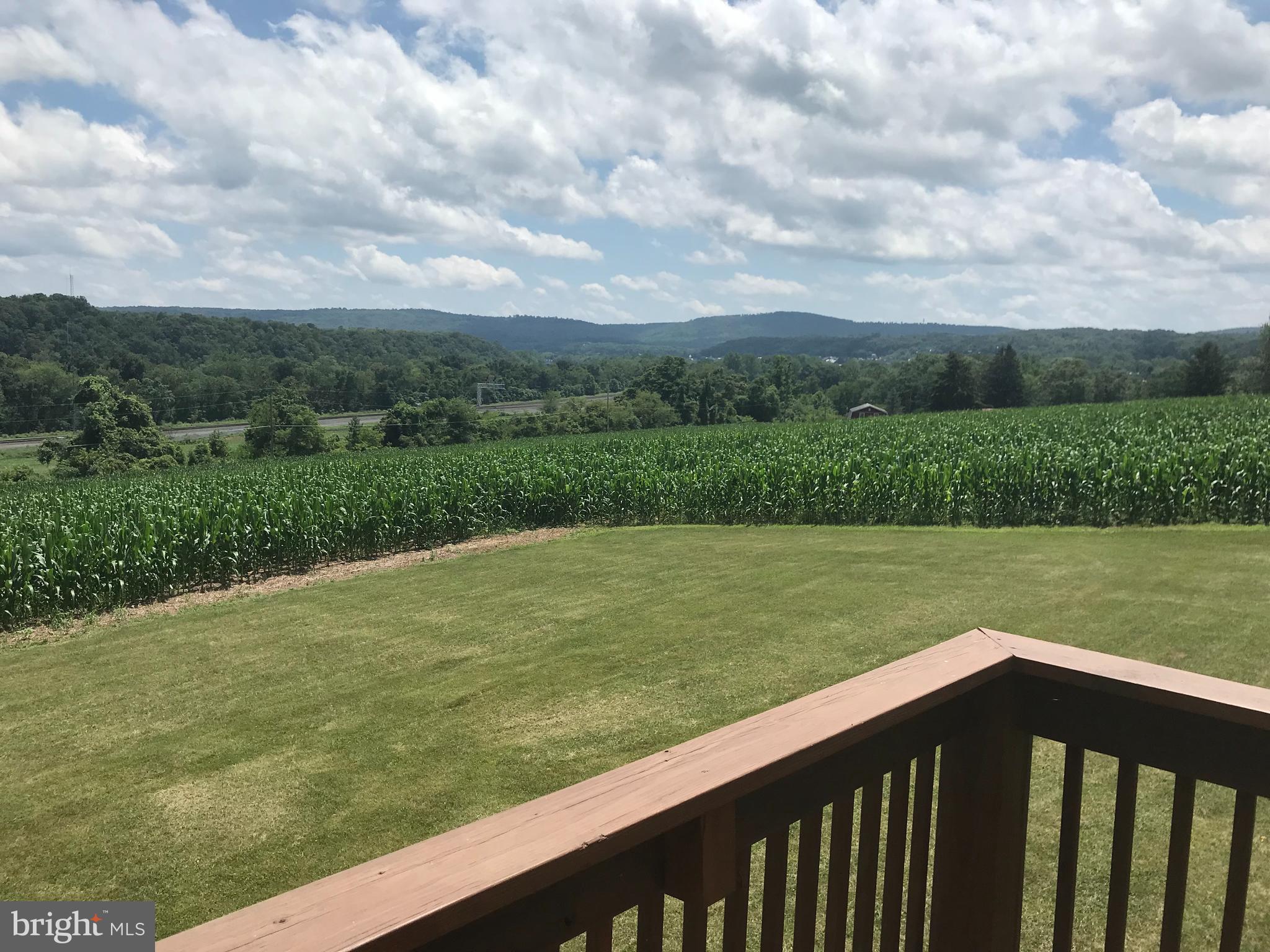 250 Turkey Bird Road Newport, PA 17074 - Photo 21 of 22 The cornfield is part of this property