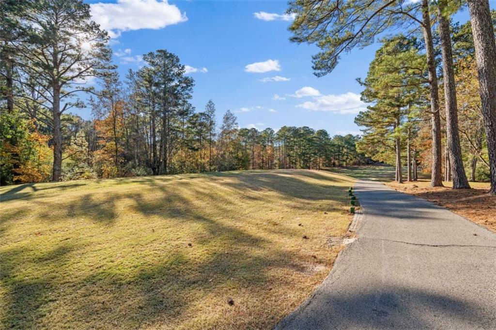 7064 Brigade Court Villa Rica, GA 30180 - Photo 45 of 64