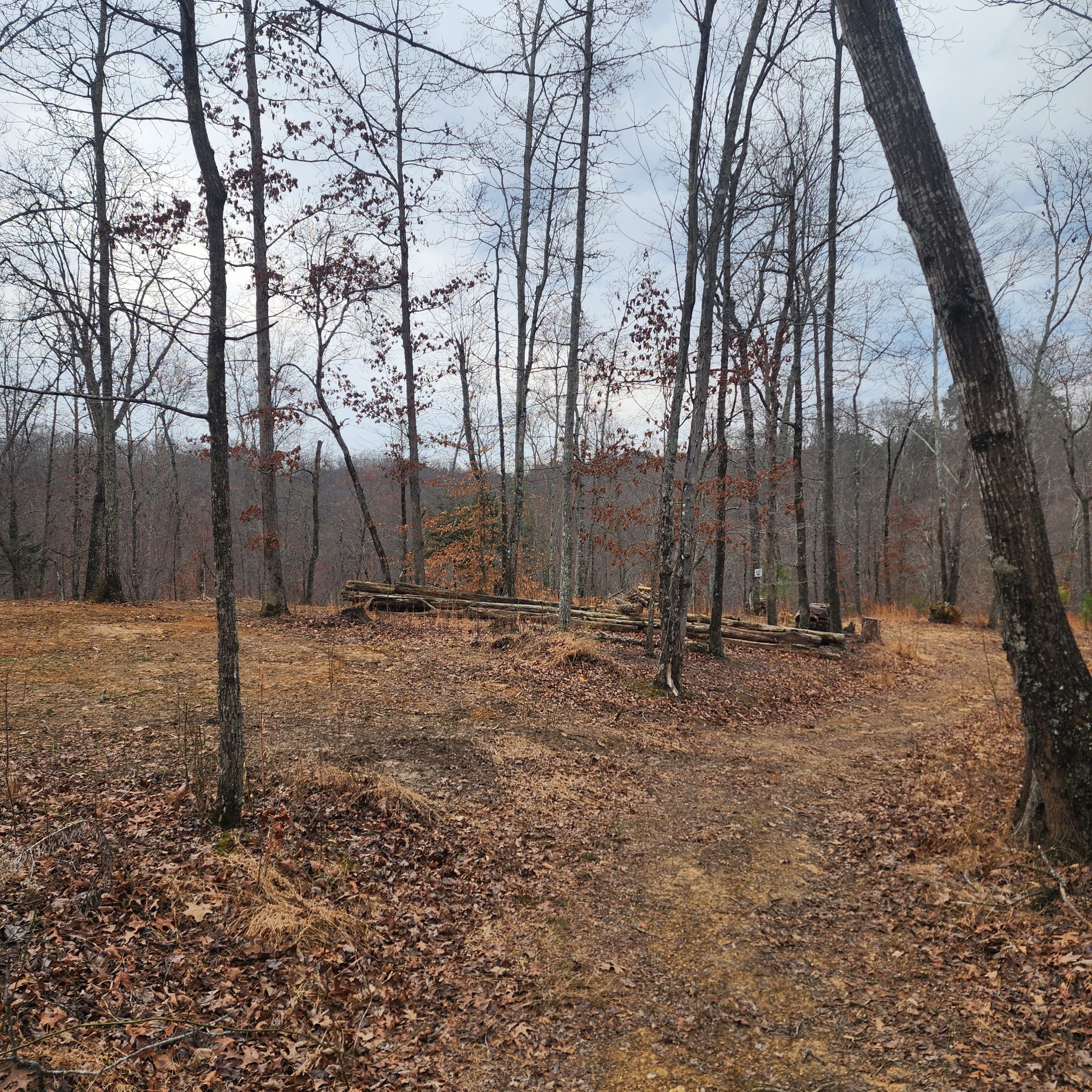 584 Back Bone Road Sparta, TN 38583 - Photo 12 of 12 a backyard of a house with lots of green space