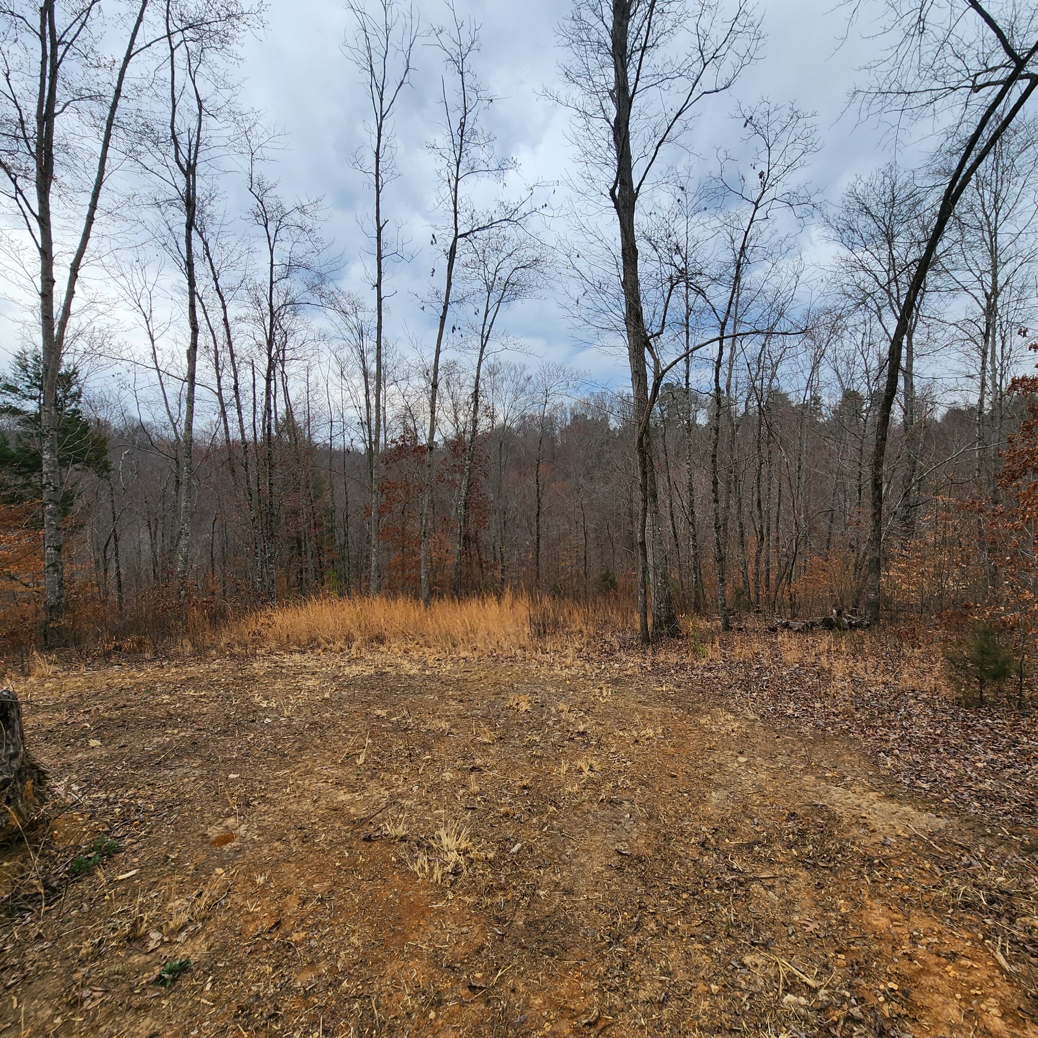 584 Back Bone Road Sparta, TN 38583 - Photo 8 of 12 a view of backyard with wooden fence
