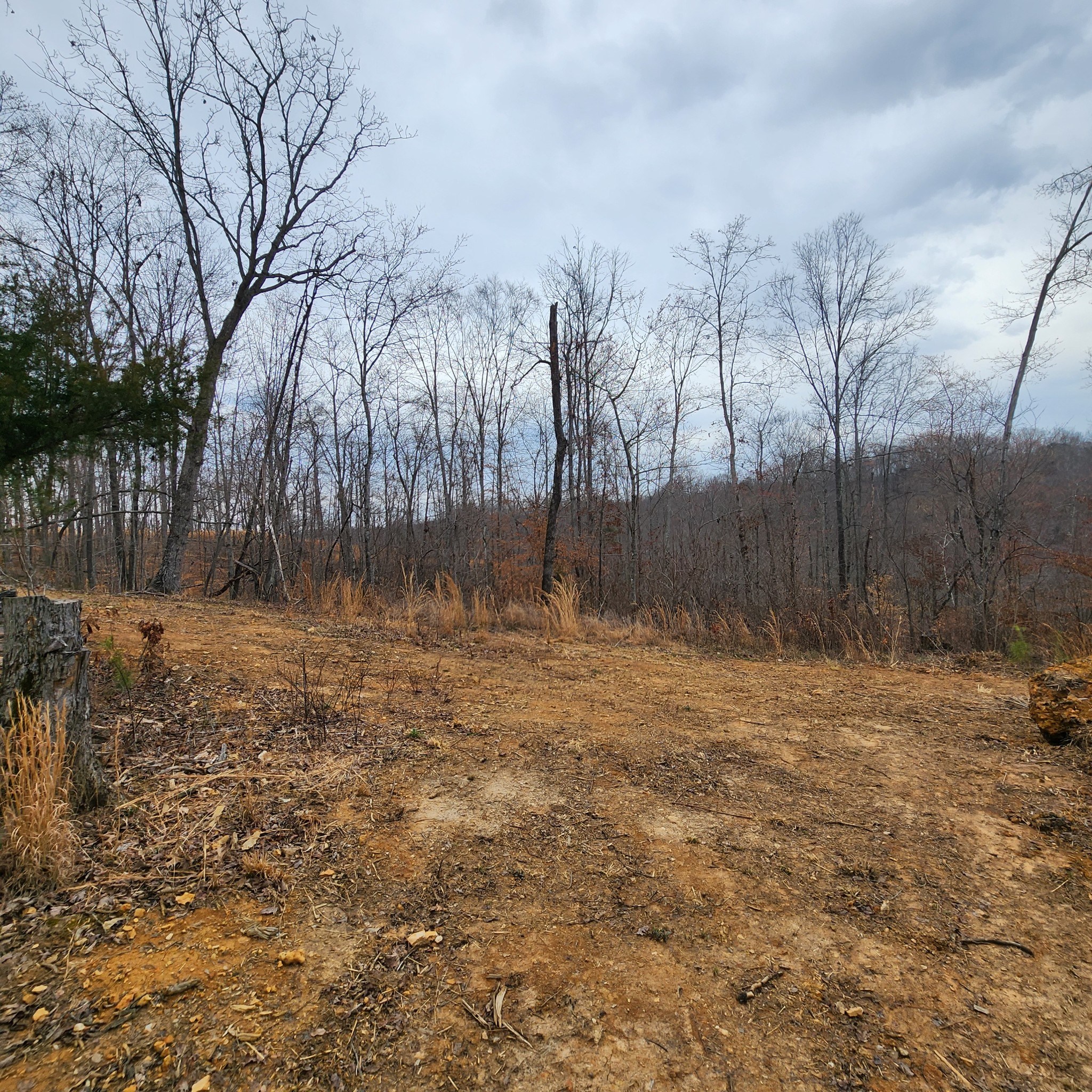 584 Back Bone Road Sparta, TN 38583 - Photo 9 of 12 a backyard of a house