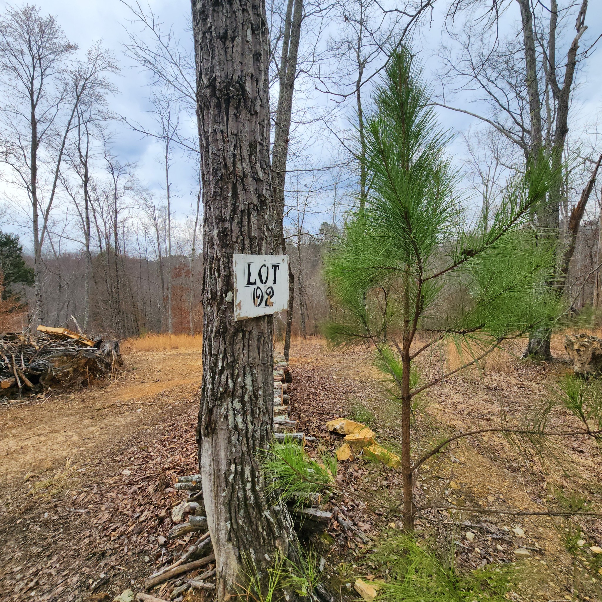 584 Back Bone Road Sparta, TN 38583 - Photo 10 of 12