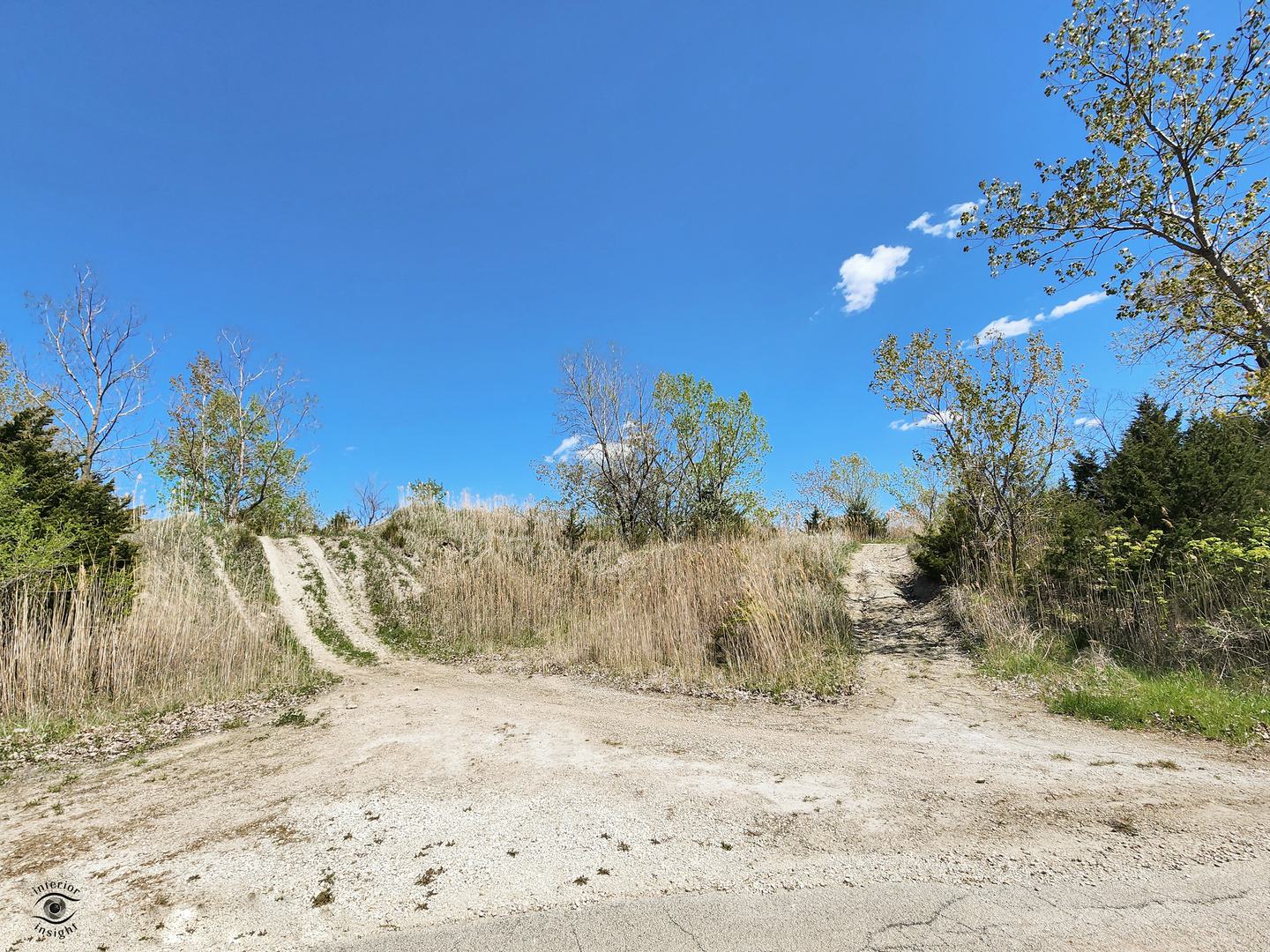 18530 West 3000N Road Reddick, IL 60961 - Photo 39 of 40 a view of a yard with a tree