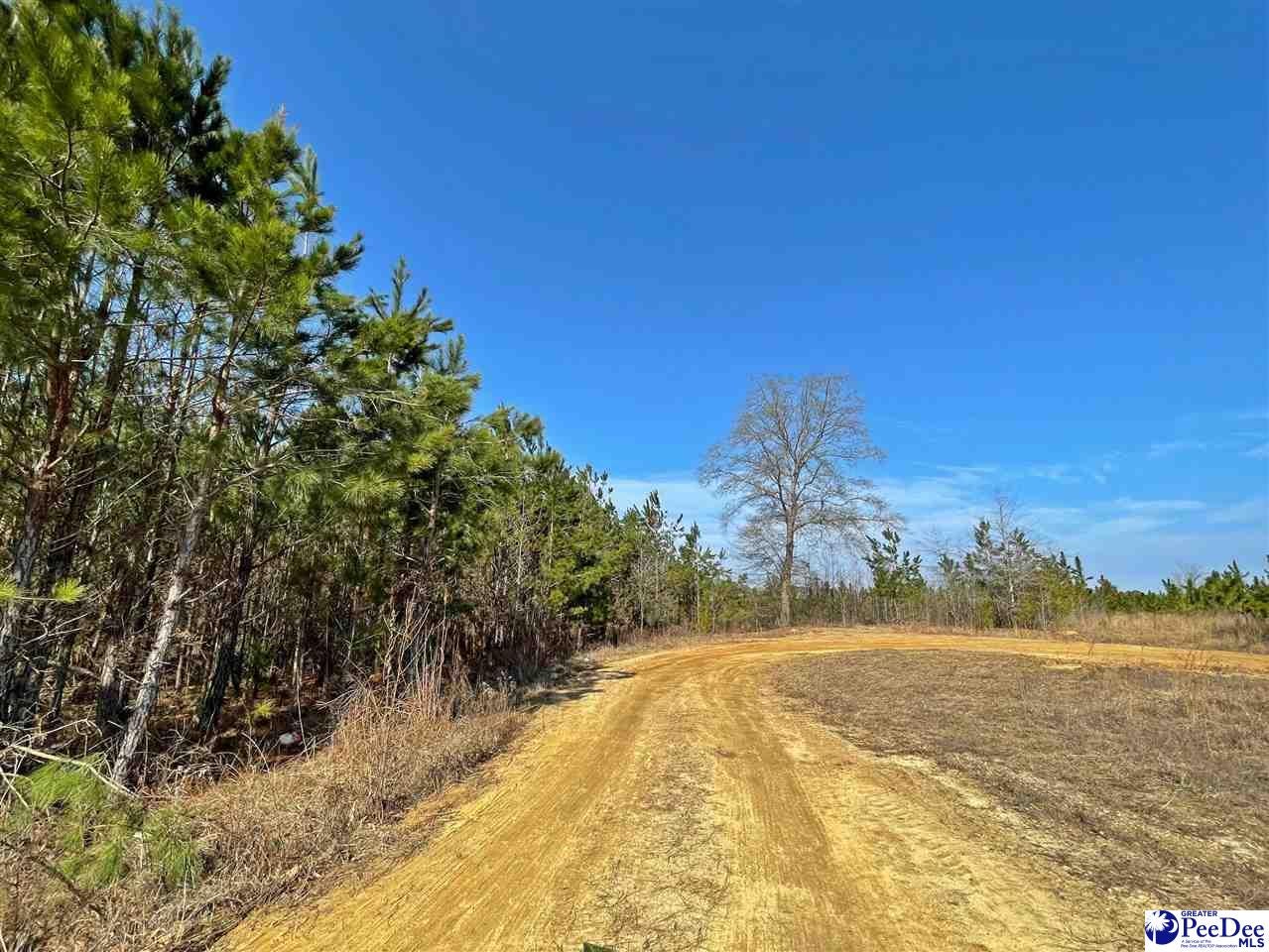 0 Begley Stump Road Chesterfield, SC 29709 - Photo 1 of 1 Gallery Image 1