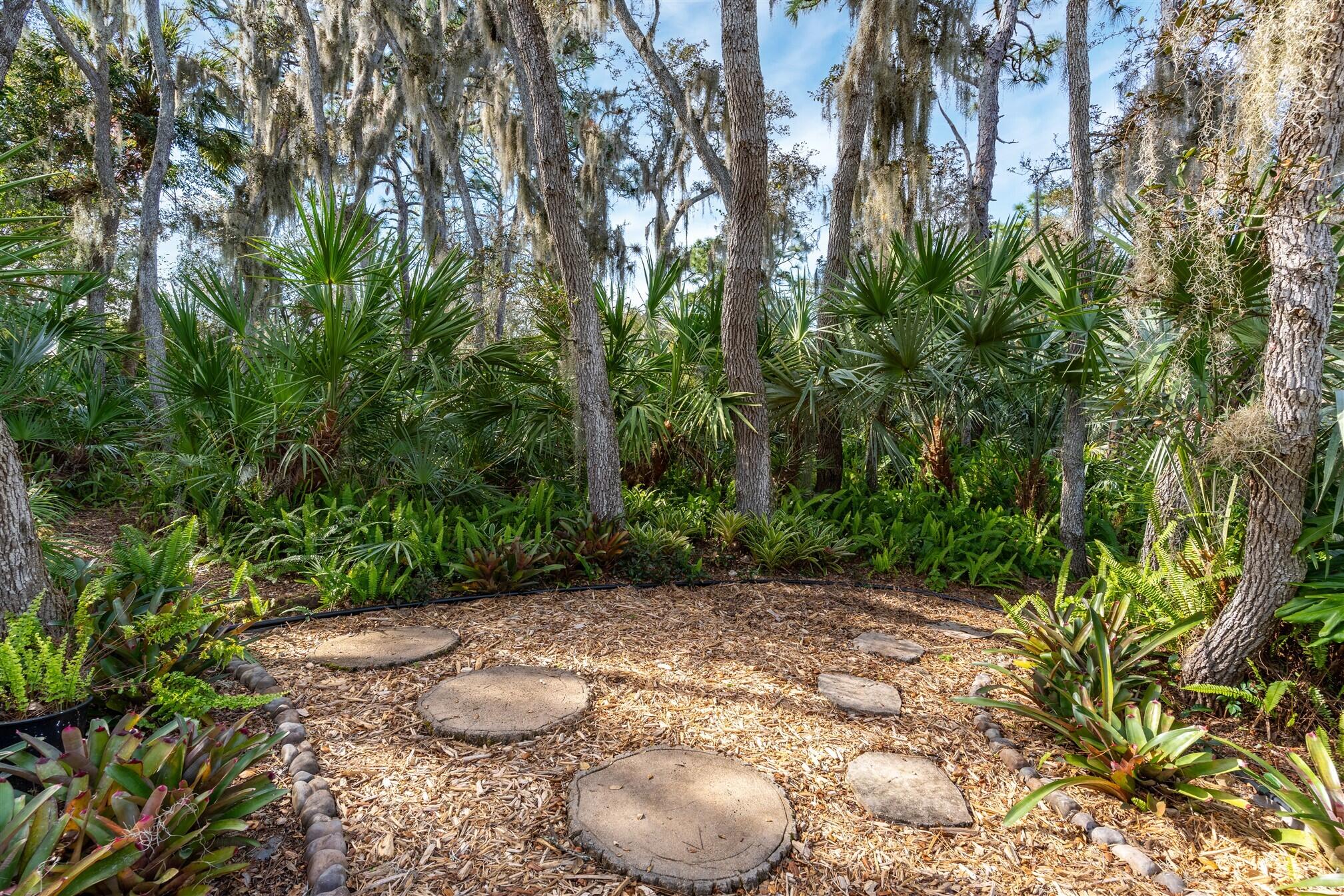 3660 Brennan Drive Melbourne, FL 32934 - Photo 56 of 71 a view of a backyard with plants and trees