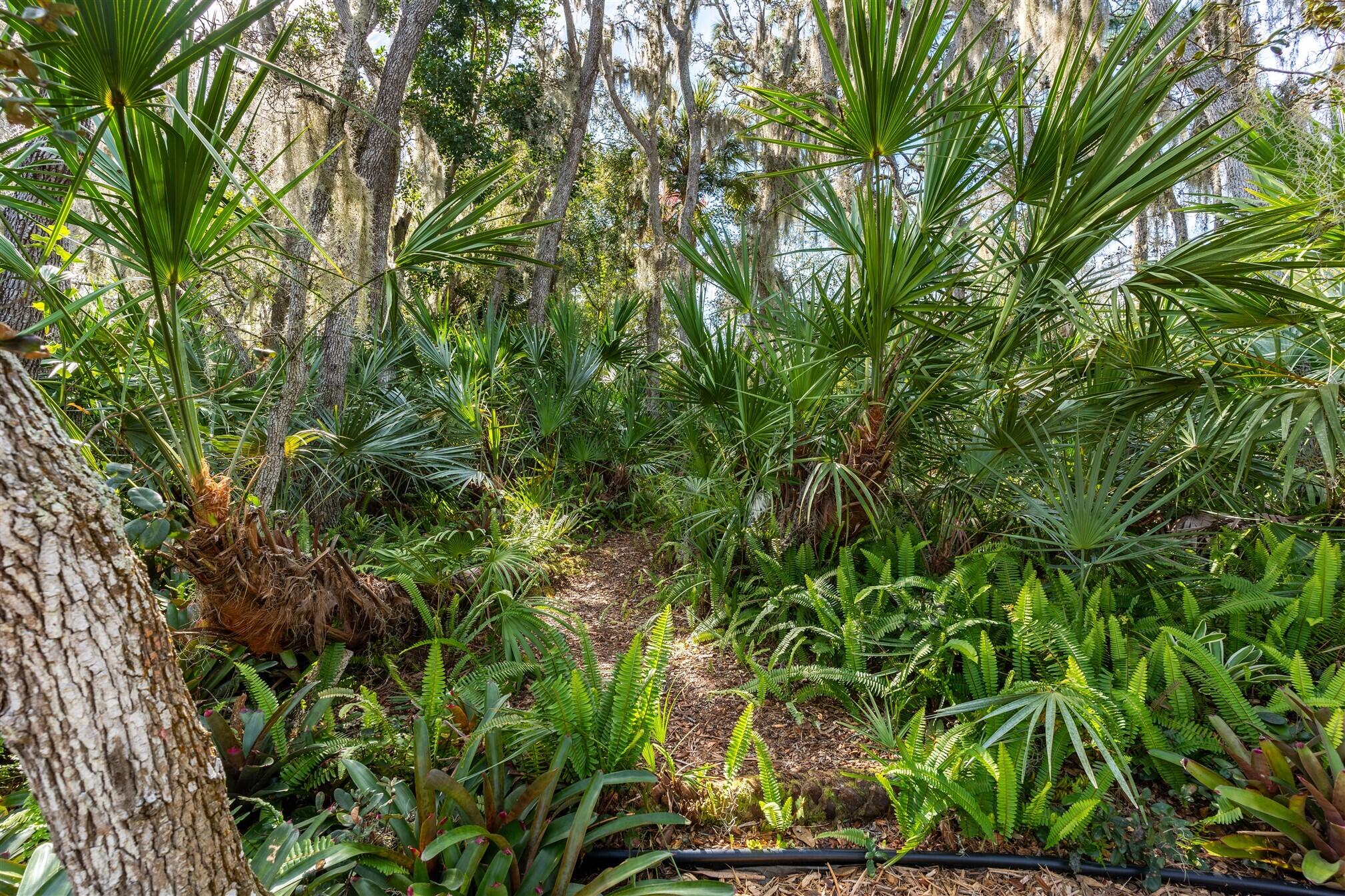 3660 Brennan Drive Melbourne, FL 32934 - Photo 57 of 71 view of a tree
