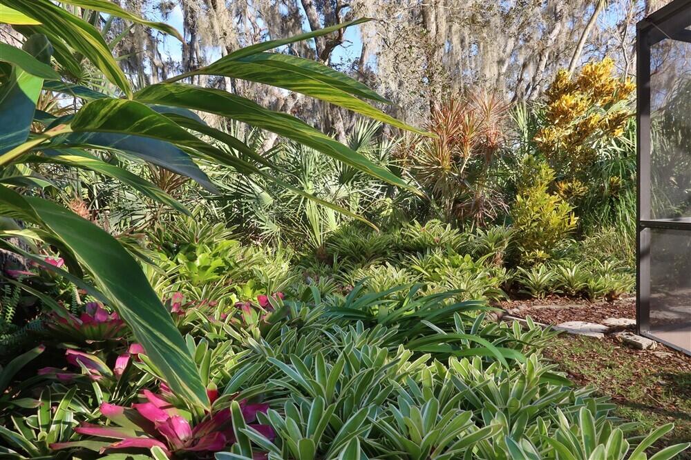 3660 Brennan Drive Melbourne, FL 32934 - Photo 58 of 71 a picture of a tree