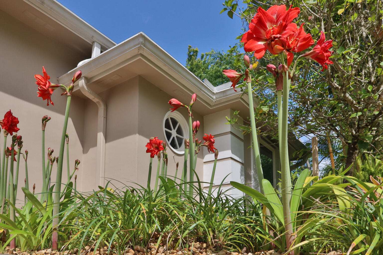 3660 Brennan Drive Melbourne, FL 32934 - Photo 9 of 71 a front view of a house with lots of flowers