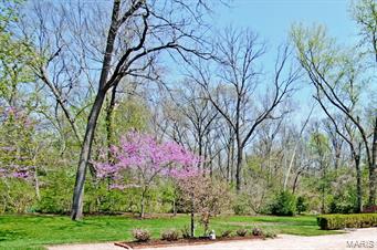 5 Pebble Creek Road St. Louis, MO 63124 - Photo 27 of 28