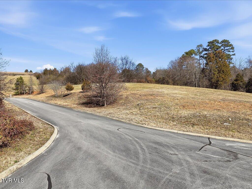 Lot 121 Cow Poke Lane, Unit 121 Rutledge, TN 37861 - Photo 4 of 25 Lot 121 Cow Poke Ln - 4