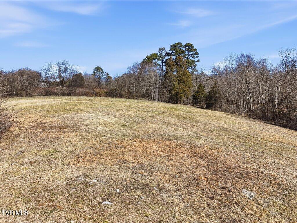 Lot 121 Cow Poke Lane, Unit 121 Rutledge, TN 37861 - Photo 5 of 25 Lot 121 Cow Poke Ln - 5