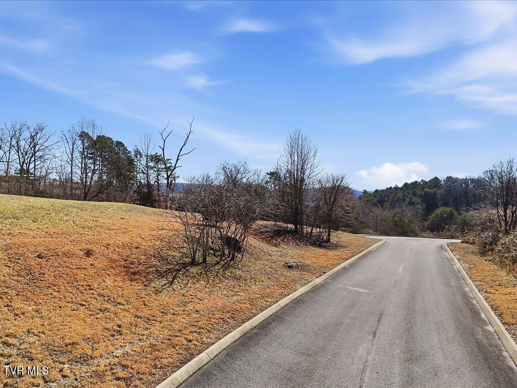 Lot 121 Cow Poke Lane, Unit 121 Rutledge, TN 37861 - Photo 6 of 25 Lot 121 Cow Poke Ln - 6