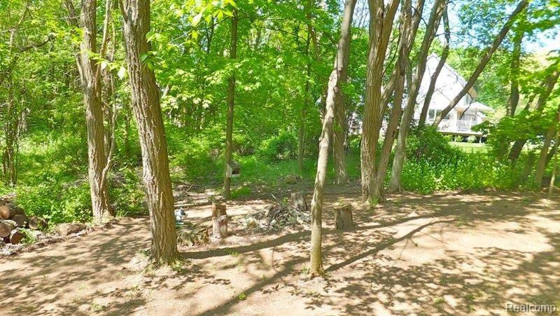 779 Kern Road Lake Orion, MI 48362 - Photo 20 of 23 4 - Private Campfire area.JPG