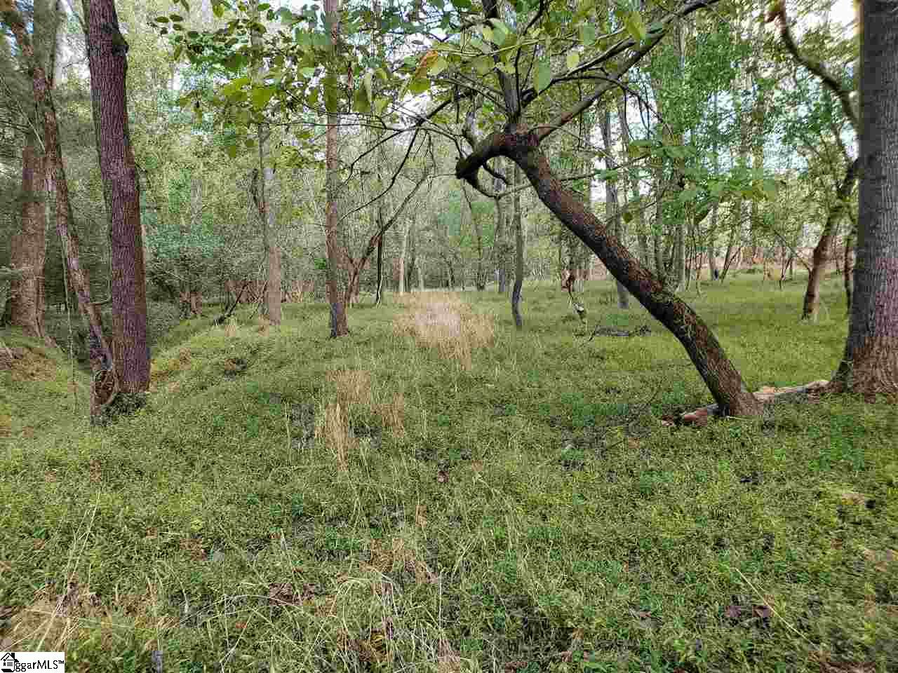 200 Alder Road Donalds, SC 29638 - Photo 1 of 14