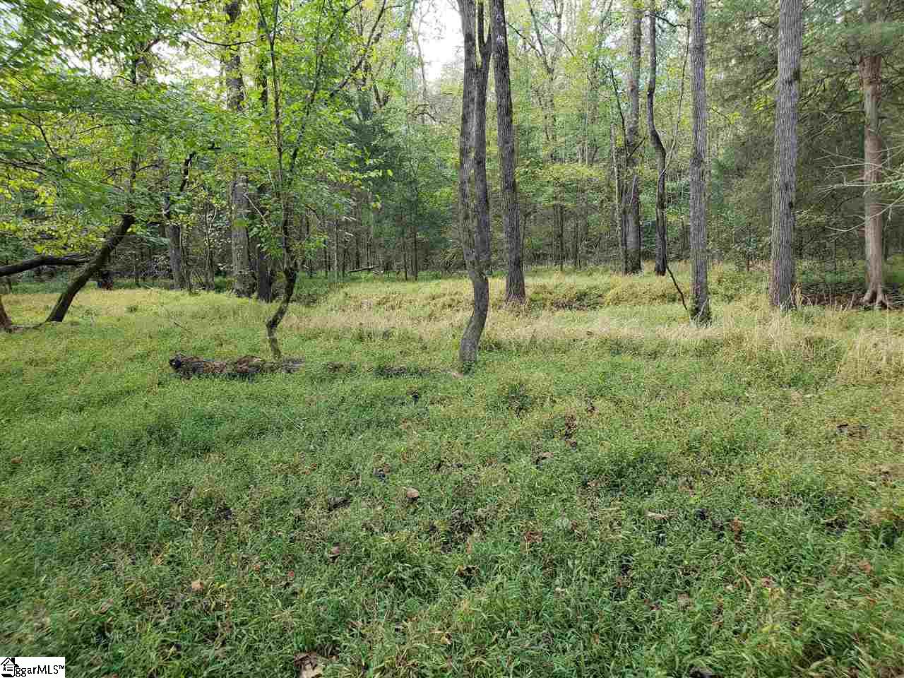200 Alder Road Donalds, SC 29638 - Photo 2 of 14