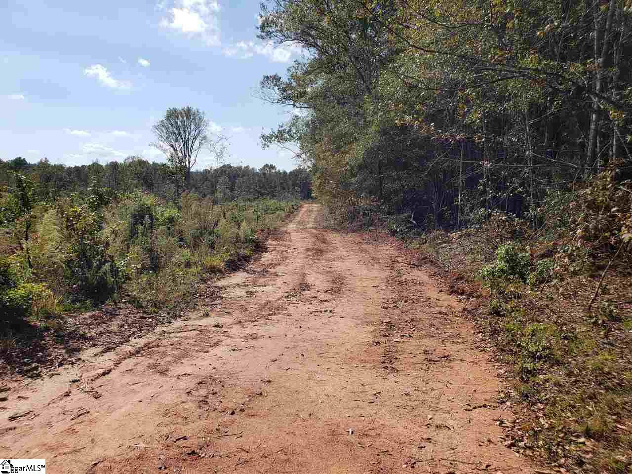 200 Alder Road Donalds, SC 29638 - Photo 11 of 14