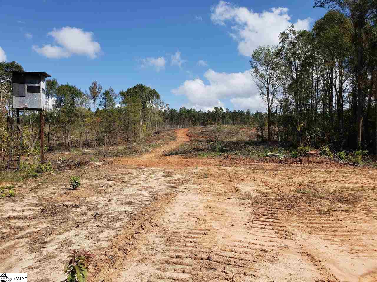 200 Alder Road Donalds, SC 29638 - Photo 13 of 14