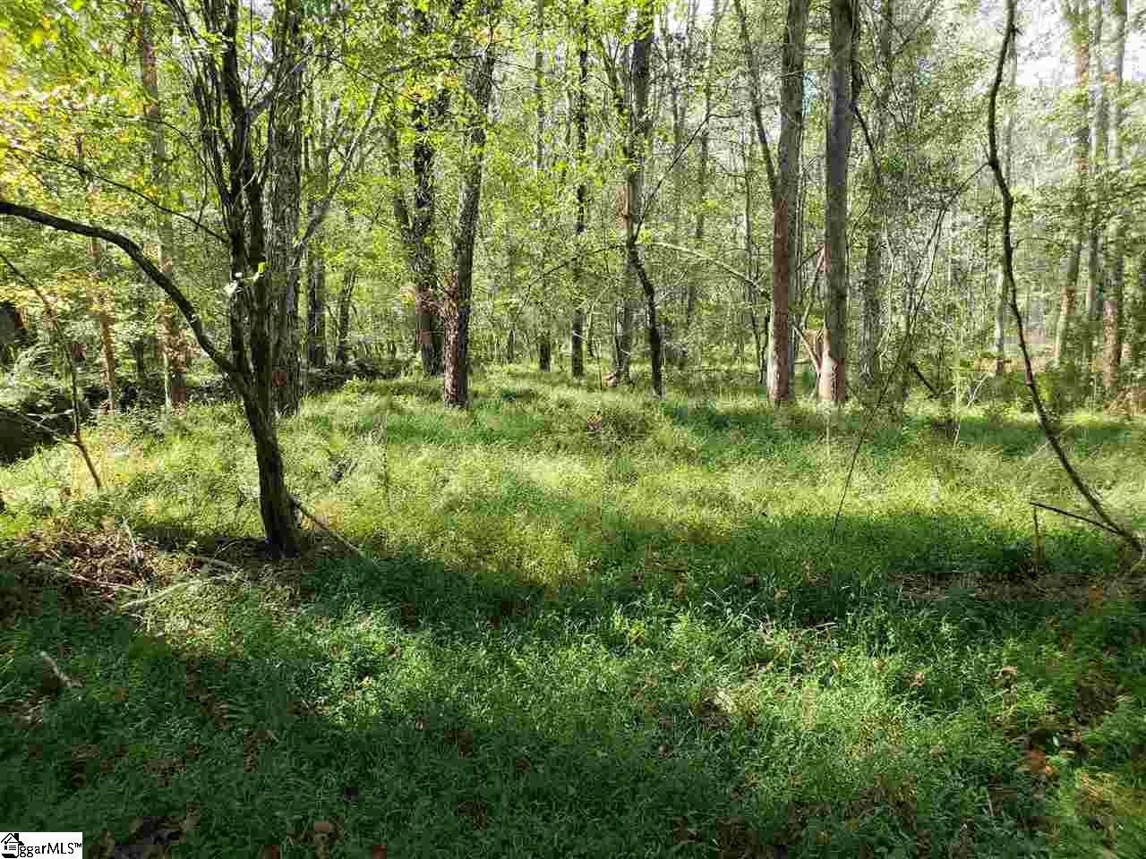200 Alder Road Donalds, SC 29638 - Photo 7 of 14