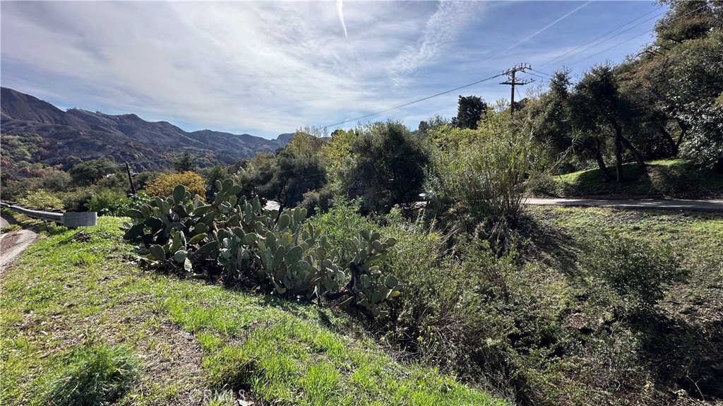 0 Cave Way Topanga, CA 90290 - Photo 11 of 14 a view of a lush green field with lots of bushes