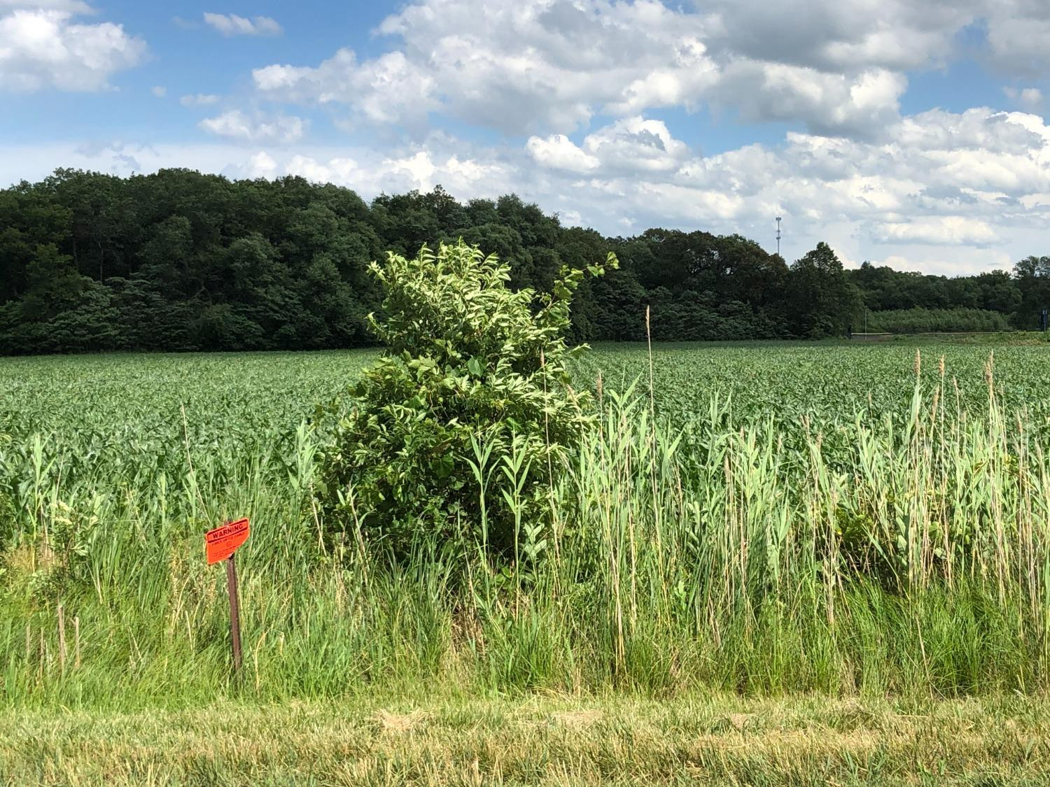 0 St Road 55 Demotte, IN 46310 - Photo 2 of 6 1500x1125