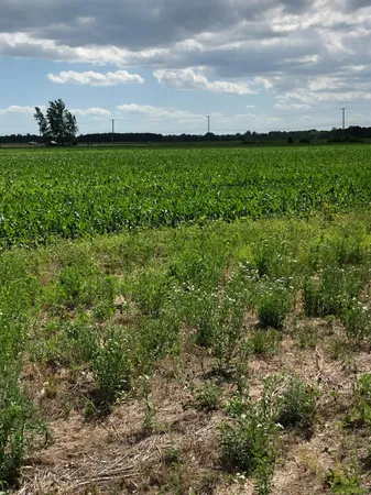 $139,000 | 0 St Road 55, Demotte, IN 46310