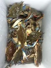 $2,200 | Undisclosed Address, Slidell, LA 70458