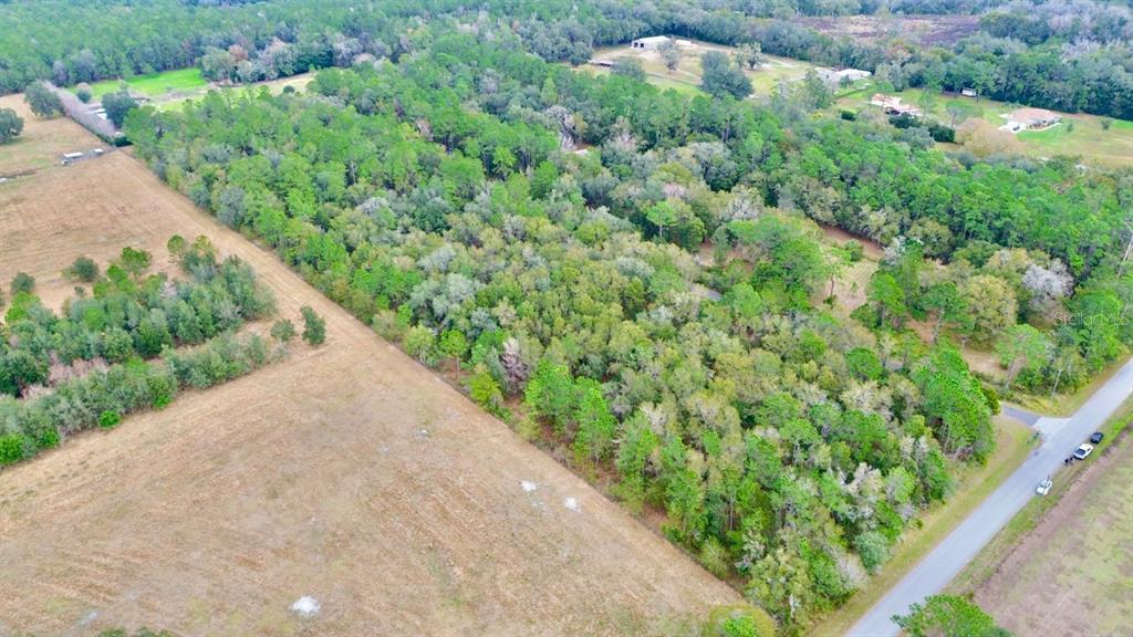 Gold Hill Road Brooksville, FL 34604 - Photo 22 of 25 Gallery Image 22