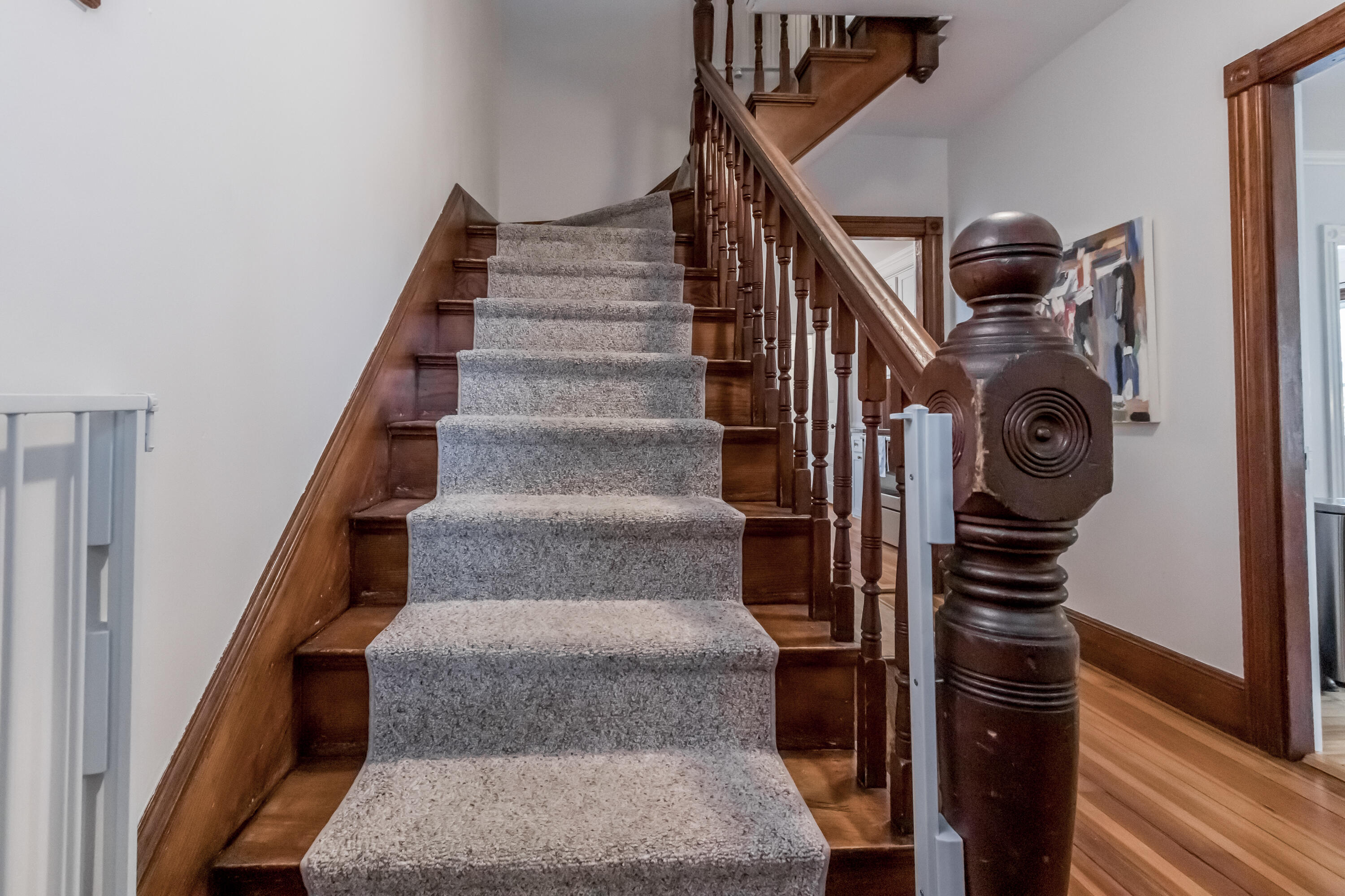 24 Belknap Street Portland, ME 04103 - Photo 36 of 64 20230613AM -71041
