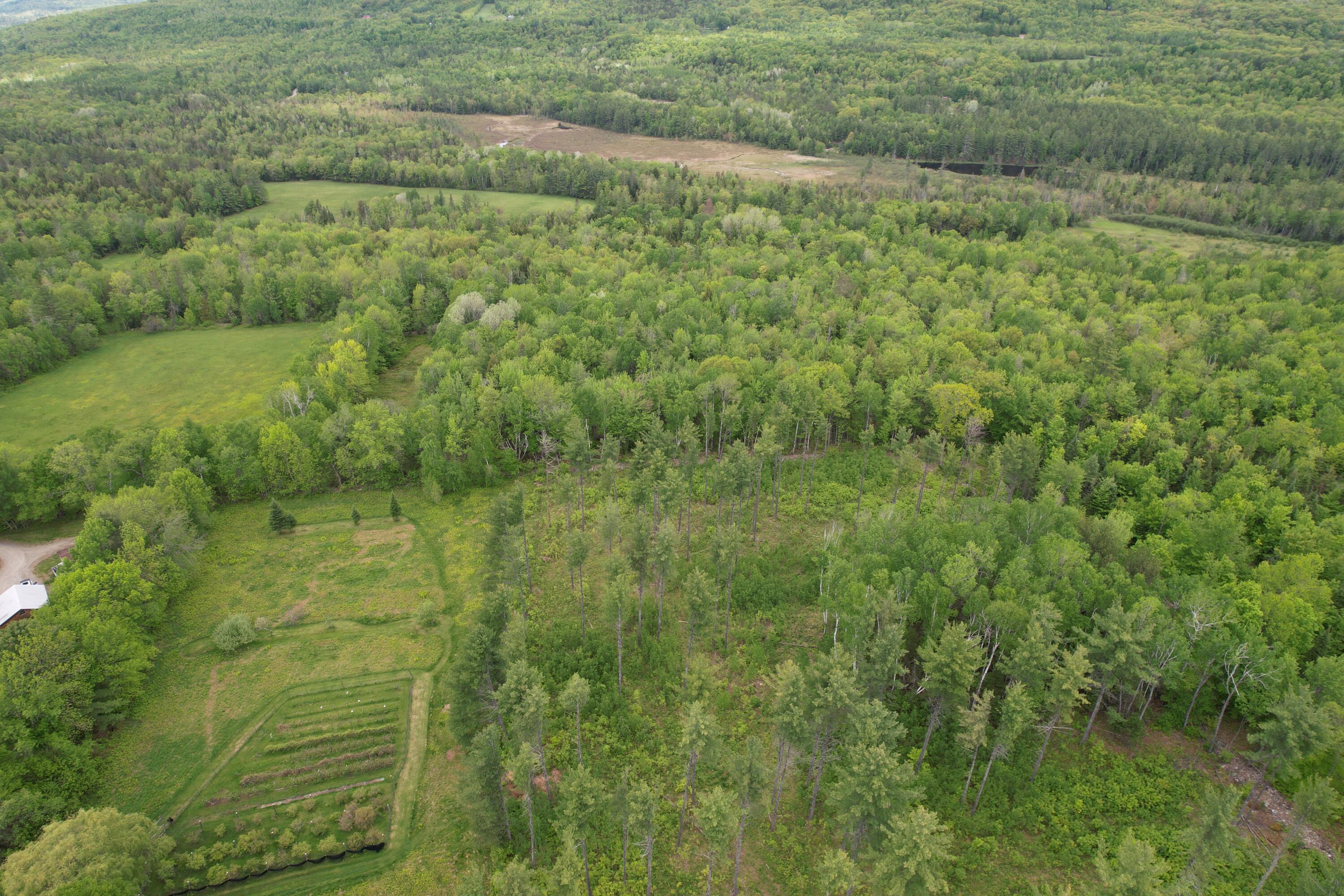 212 Mile Square Road Phillips, ME 04966 - Photo 24 of 33 DJI_0325