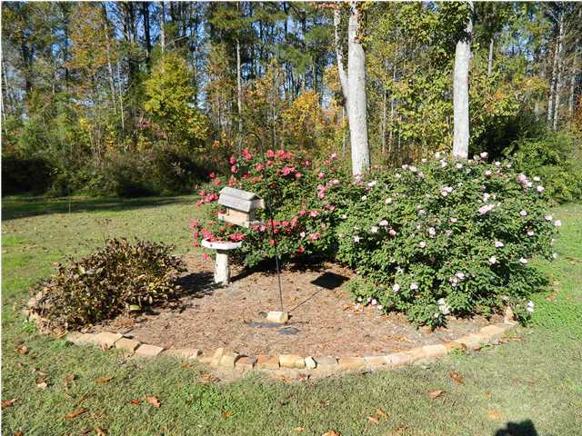 4143 Alabama Road Apison, TN 37302 - Photo 23 of 25 Additional Photo