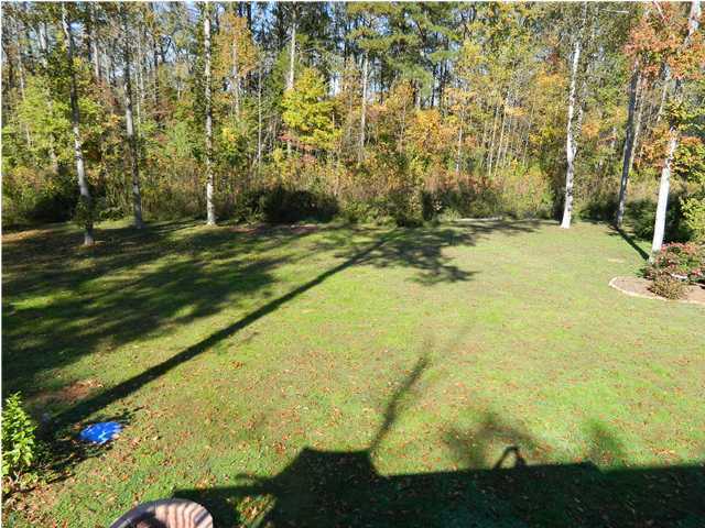 4143 Alabama Road Apison, TN 37302 - Photo 24 of 25 Additional Photo