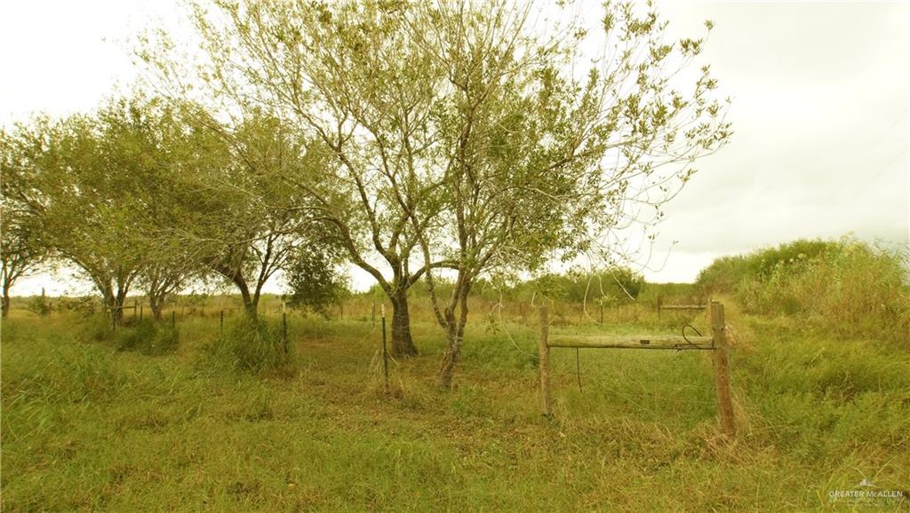 29833 Fernando East Road Rio Hondo, TX 78583 - Photo 4 of 15