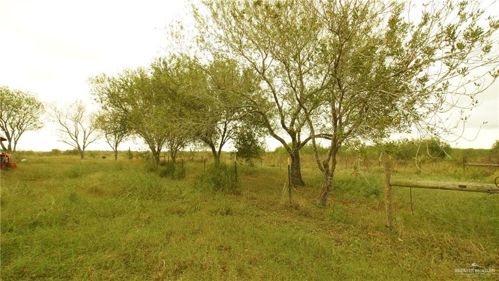 29833 Fernando East Road Rio Hondo, TX 78583 - Photo 5 of 15 a view of yard with large trees